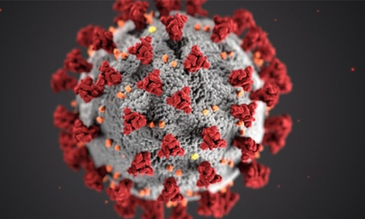 A rendering of the SARS-Cov-2 virus